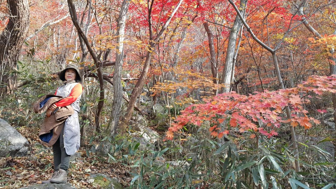 모꼬지 펜션 하동 외부 사진