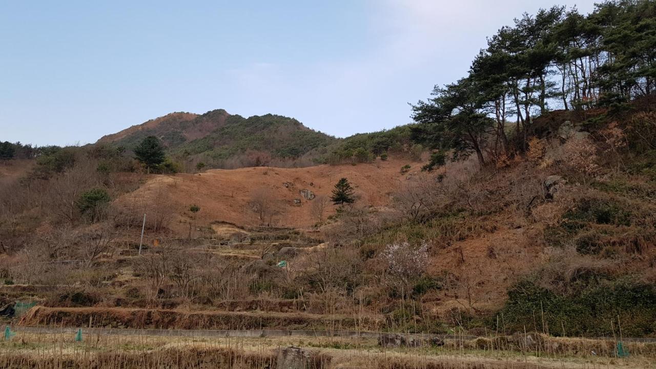 모꼬지 펜션 하동 외부 사진