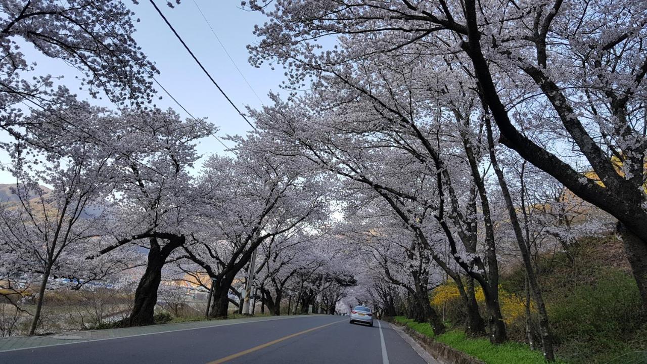 모꼬지 펜션 하동 외부 사진